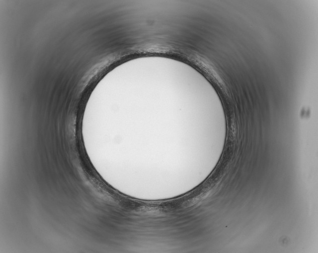 X0000091940534200709051304