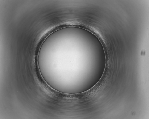 X0000091940535200709051304
