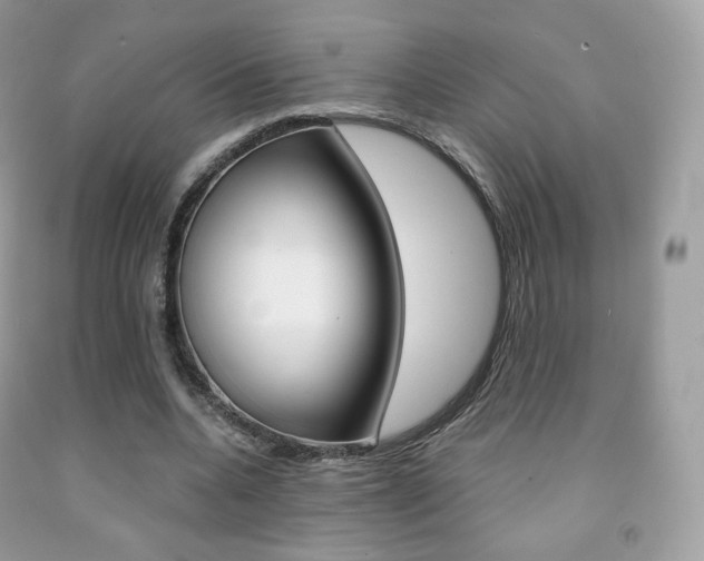 X0000091940536200709051304