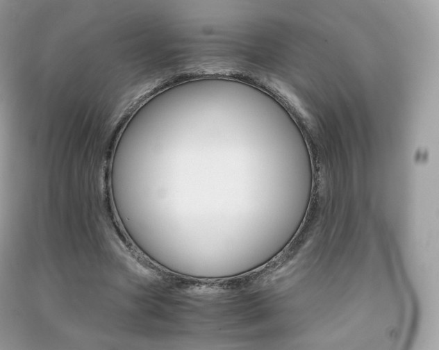 X0000091940537200709051304