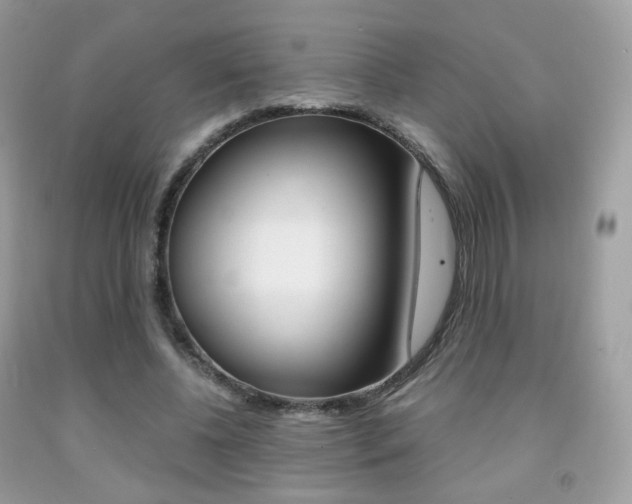 X0000091940540200709051304