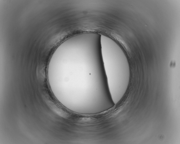 X0000091940541200709051304