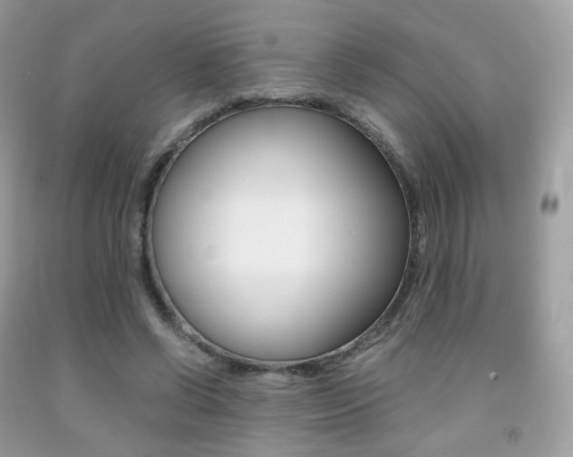 X0000091940542200709051305