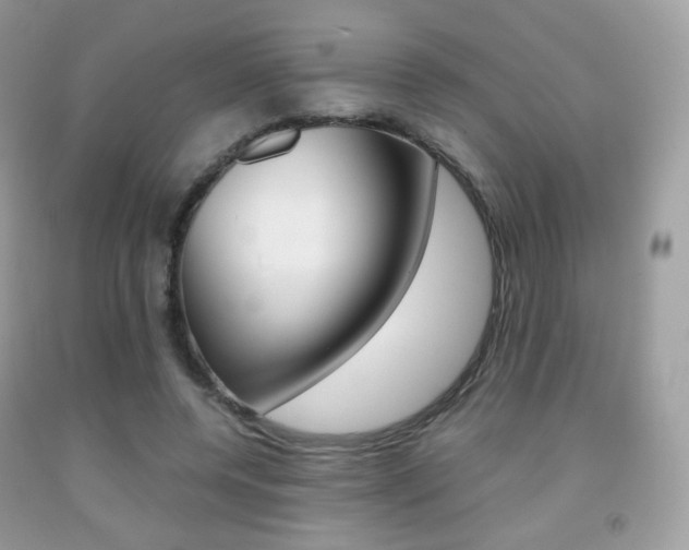 X0000091940544200709051305