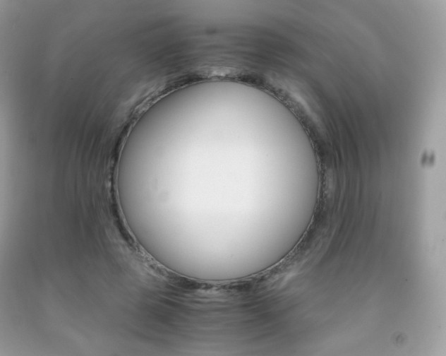 X0000091940545200709051305
