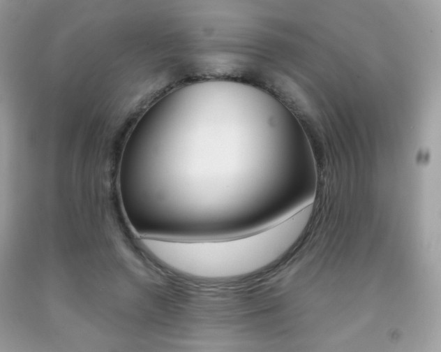 X0000091940546200709051305