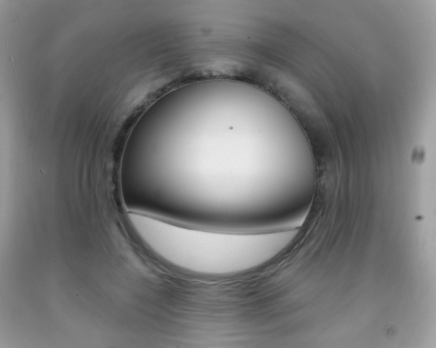 X0000091940548200709051305
