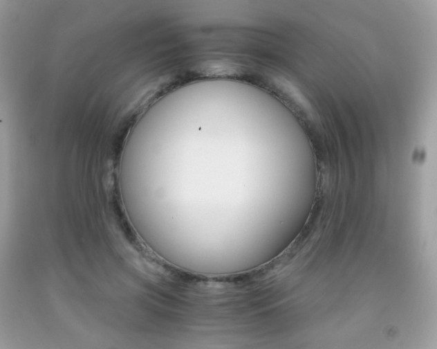 X0000091940549200709051305