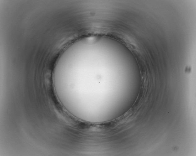 X0000091940550200709051305