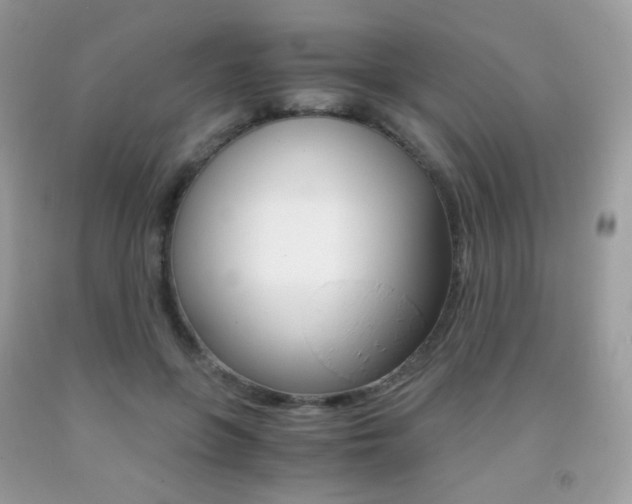 X0000091940551200709051305