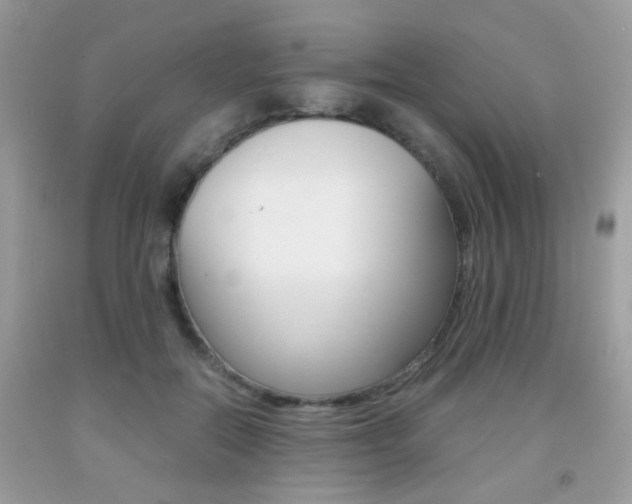 X0000091940554200709051305