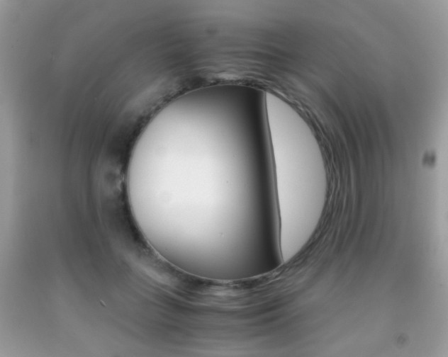 X0000091940555200709051305