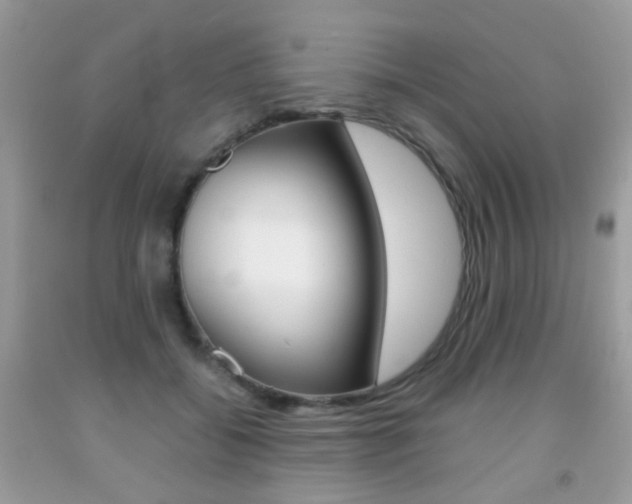X0000091940556200709051305