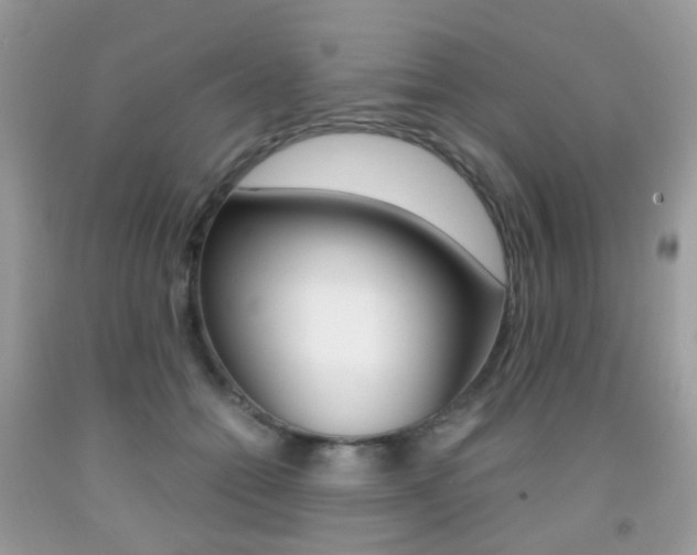 X0000091940558200709051305