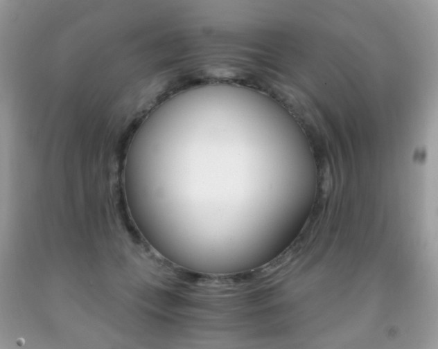 X0000091940559200709051305