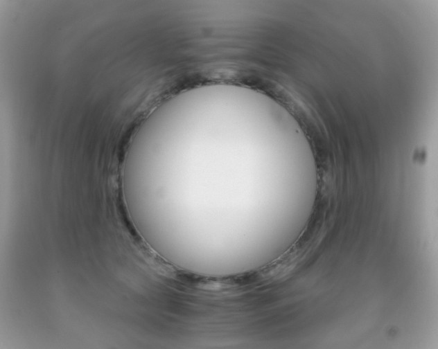 X0000091940561200709051305