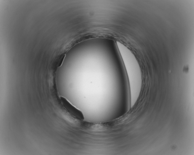 X0000091940562200709051305
