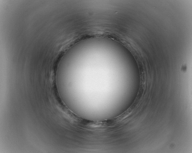 X0000091940563200709051305