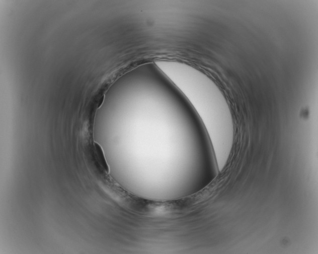 X0000091940564200709051305