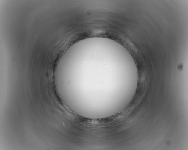 X0000091940565200709051305