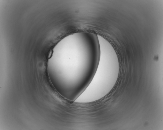 X0000091940566200709051305