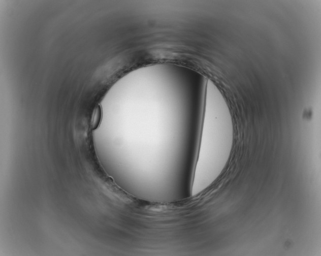 X0000091940567200709051305