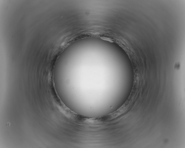 X0000091940568200709051305