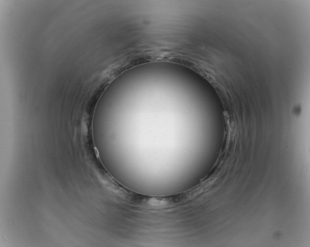 X0000091940570200709051305