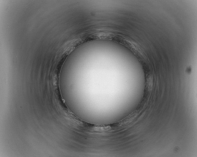 X0000091940571200709051305