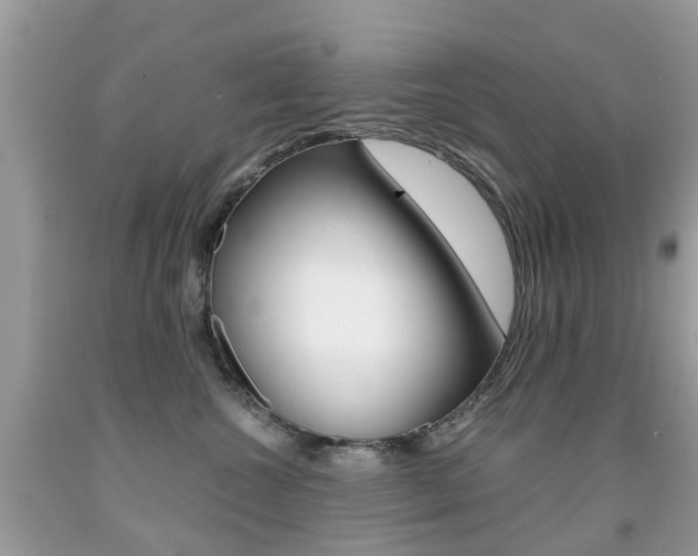 X0000091940572200709051305