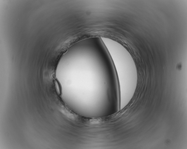 X0000091940574200709051305