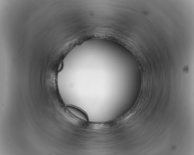 X0000091940575200709051305