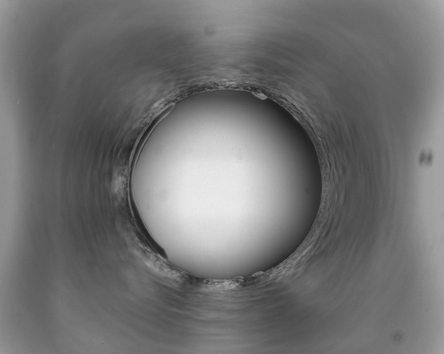 X0000091940576200709051305