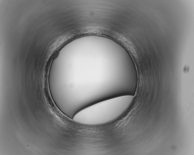 X0000091940578200709051304