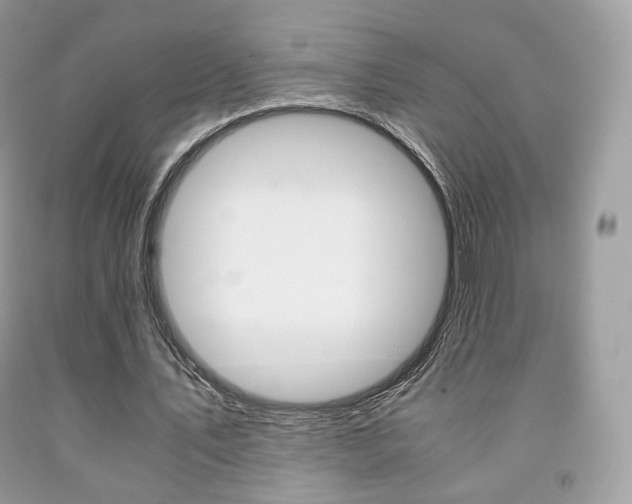 X0000091940579200709051304