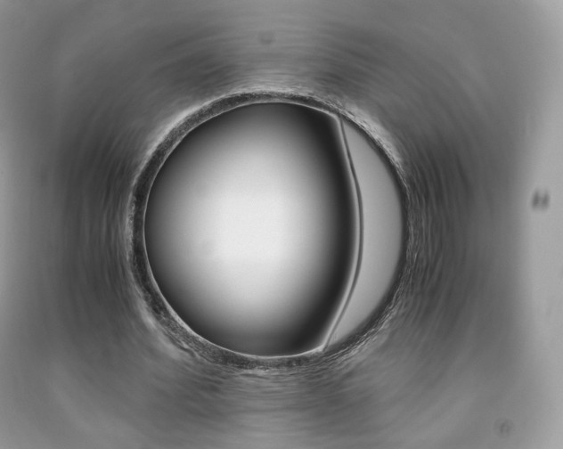 X0000091940580200709051304