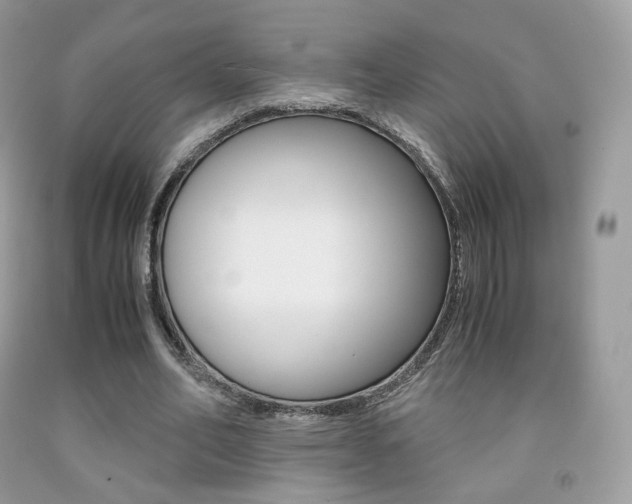X0000091940582200709051304