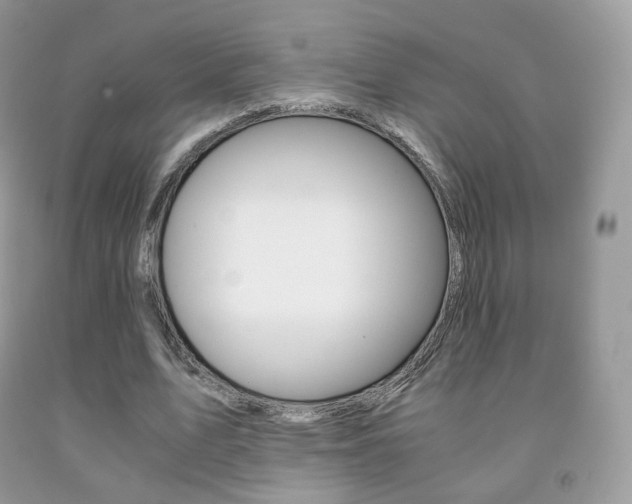 X0000091940583200709051304