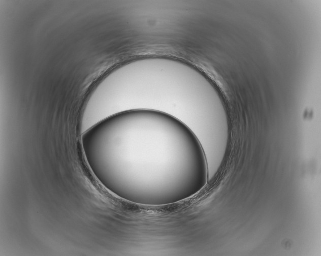 X0000091940585200709051304