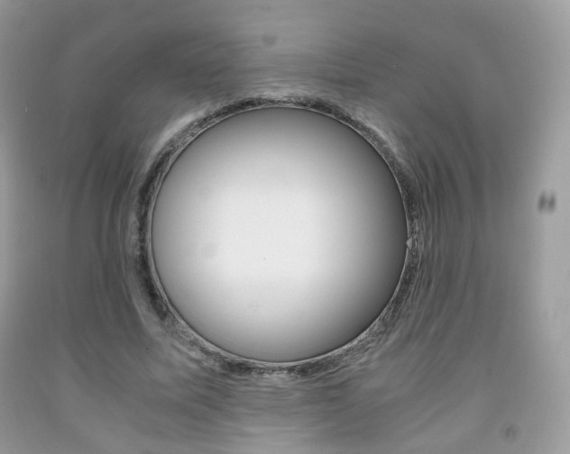 X0000091940587200709051304