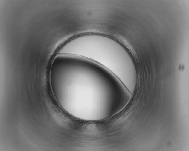 X0000091940588200709051304