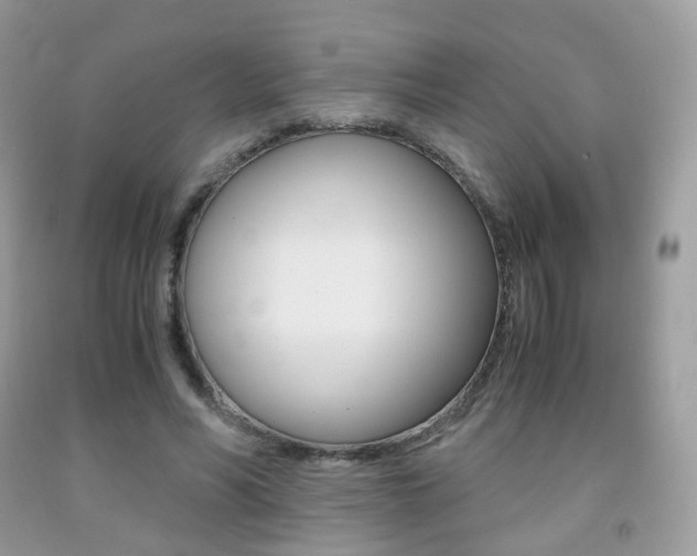 X0000091940590200709051304