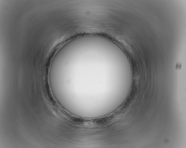 X0000091940591200709051304
