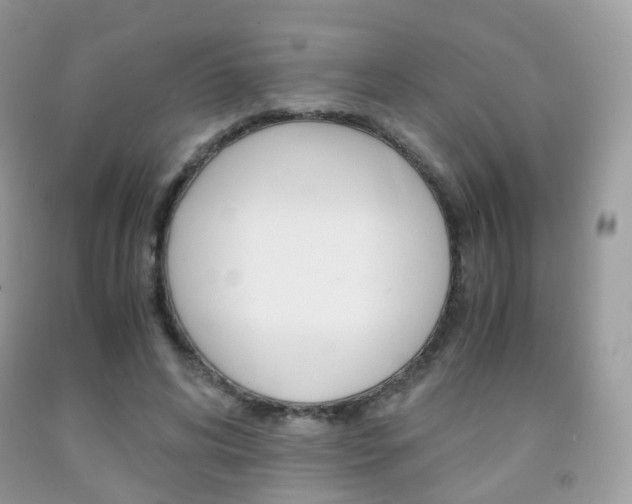 X0000091940592200709051304