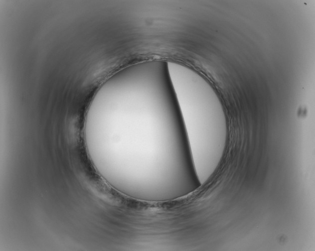 X0000091940594200709051304