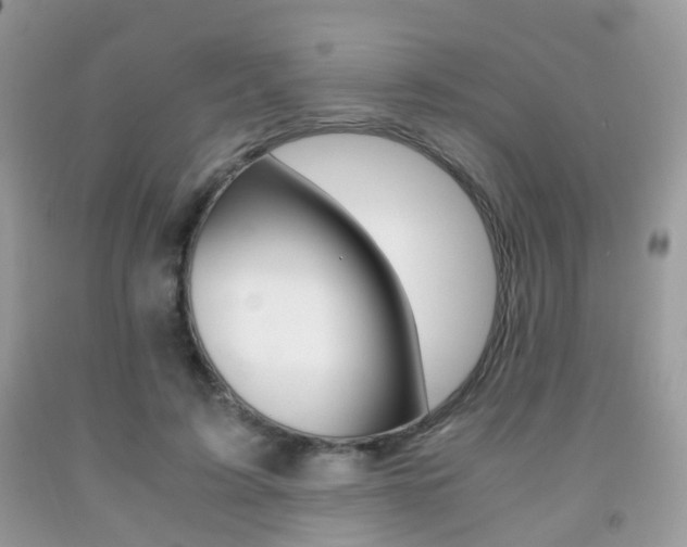 X0000091940595200709051304
