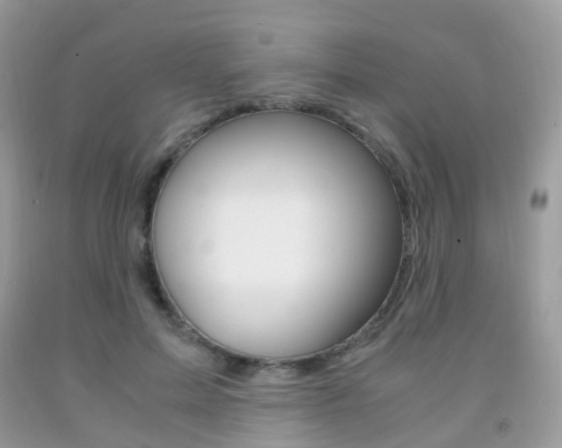 X0000091940599200709051304