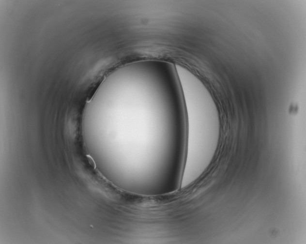 X0000091940600200709051304
