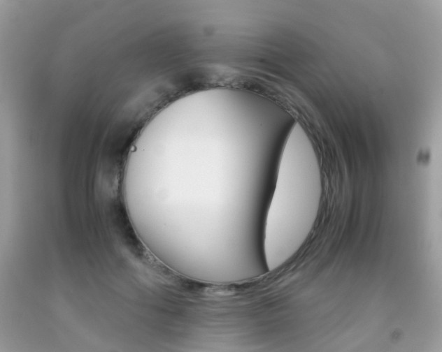 X0000091940602200709051304