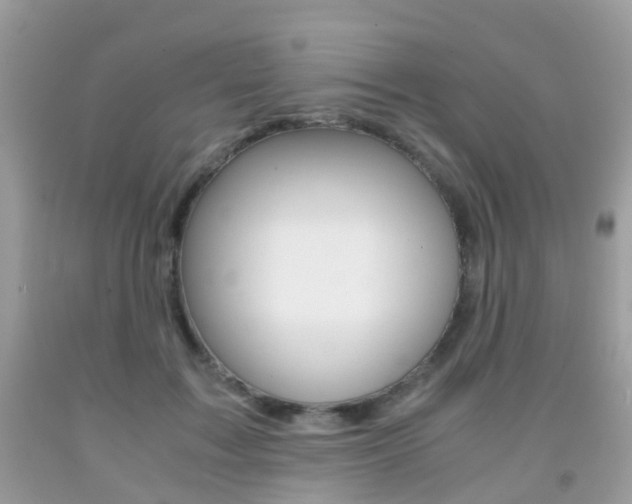 X0000091940603200709051304